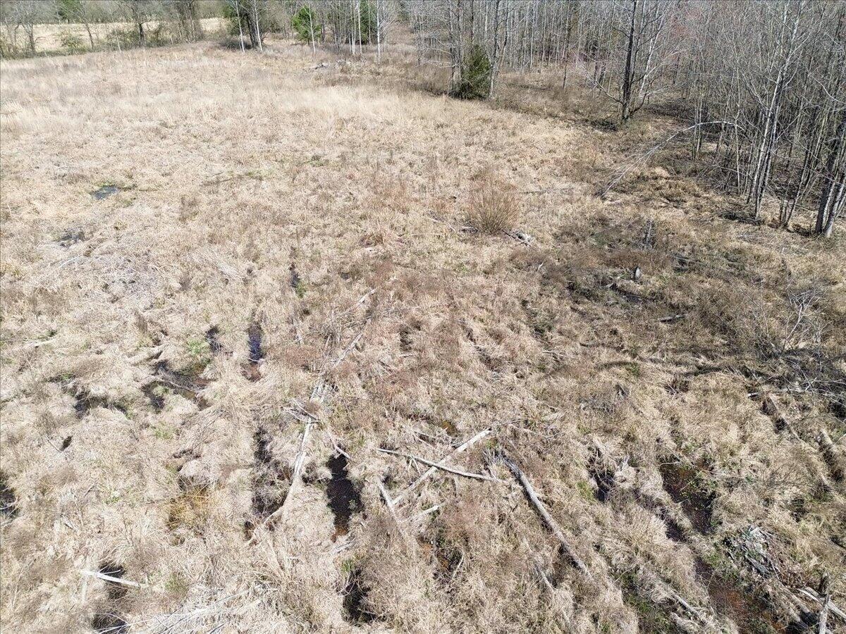 0 Francis Spring Road Jasper, TN 37347 - Photo 16 of 43 16-DJI_0005