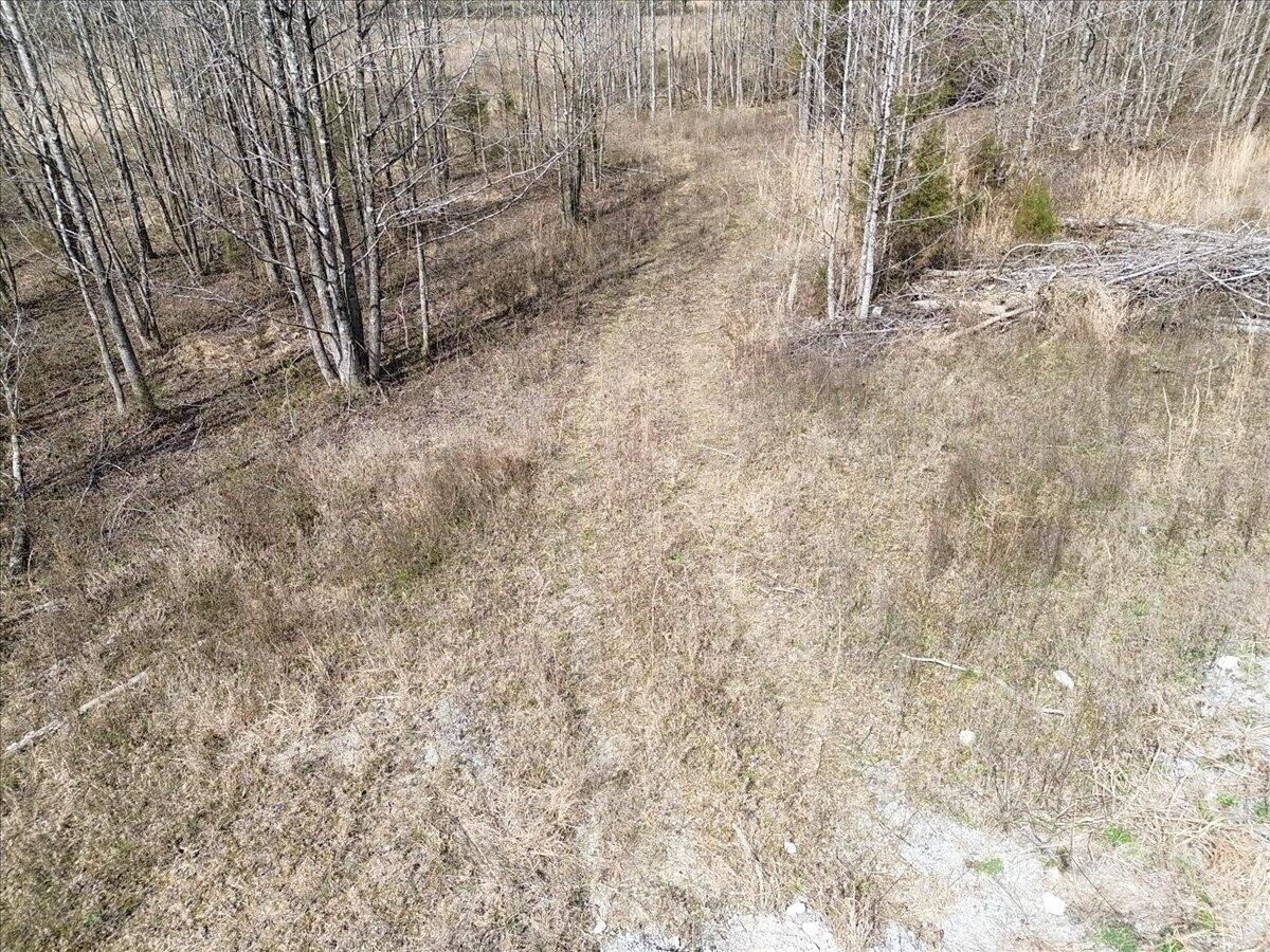 0 Francis Spring Road Jasper, TN 37347 - Photo 21 of 43 22-DJI_0006