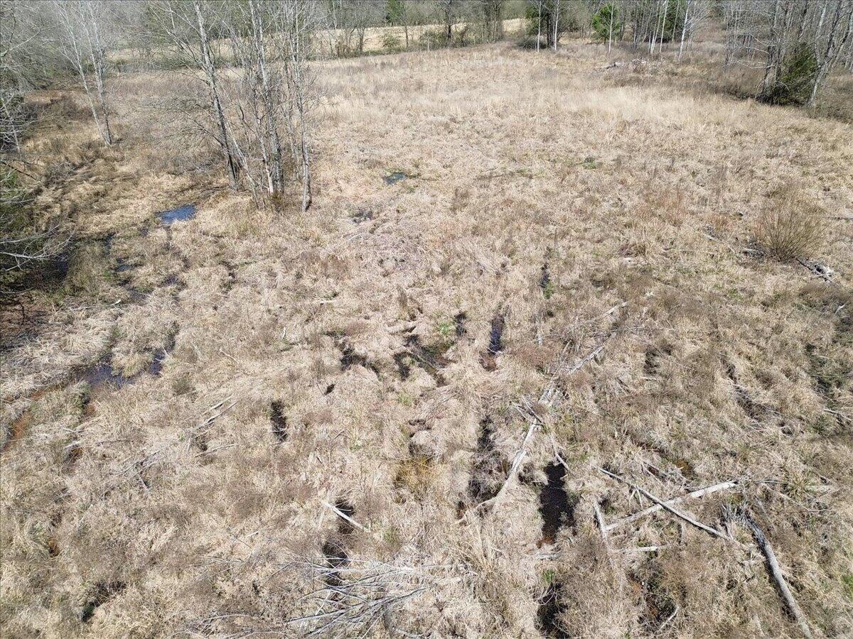 0 Francis Spring Road Jasper, TN 37347 - Photo 22 of 43 23-DJI_0006