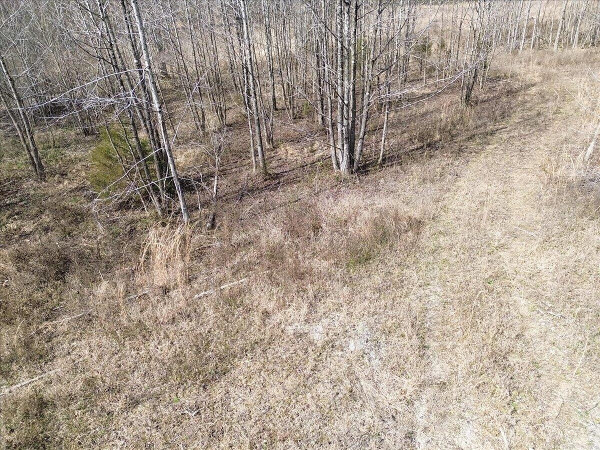 0 Francis Spring Road Jasper, TN 37347 - Photo 24 of 43 25-DJI_0007