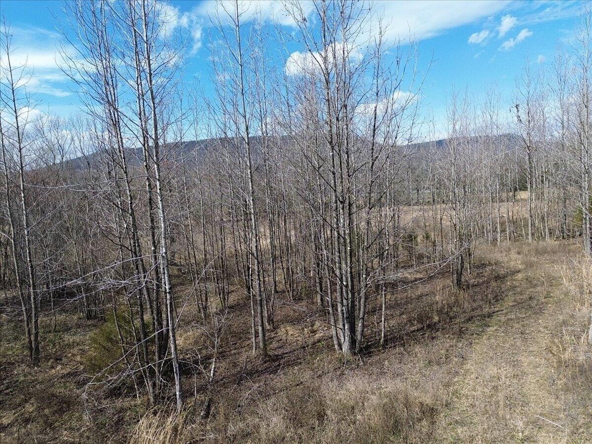 0 Francis Spring Road Jasper, TN 37347 - Photo 27 of 43 28-DJI_0008