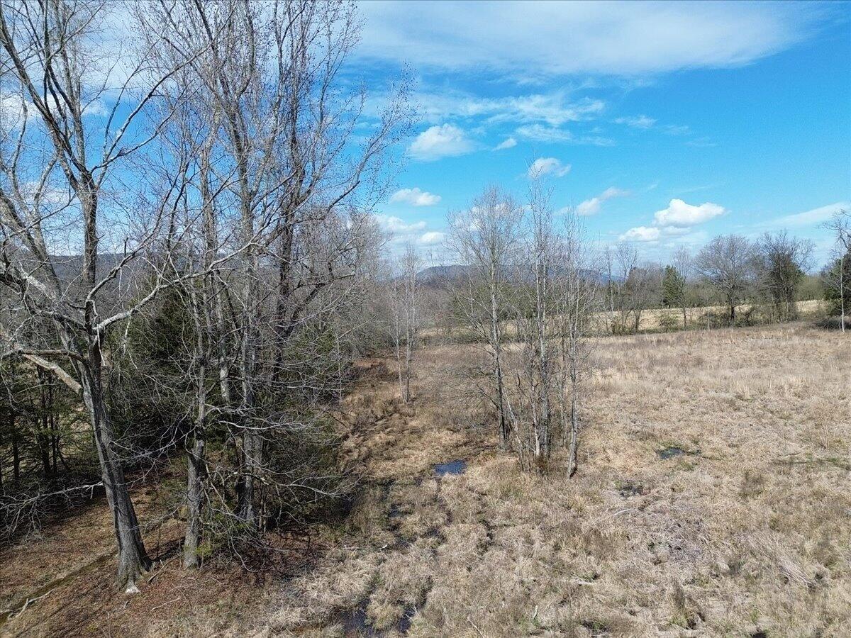 0 Francis Spring Road Jasper, TN 37347 - Photo 28 of 43 29-DJI_0008