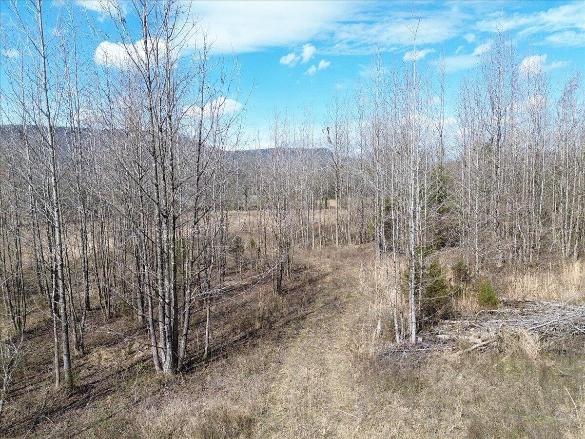 0 Francis Spring Road Jasper, TN 37347 - Photo 3 of 43 03-DJI_0001