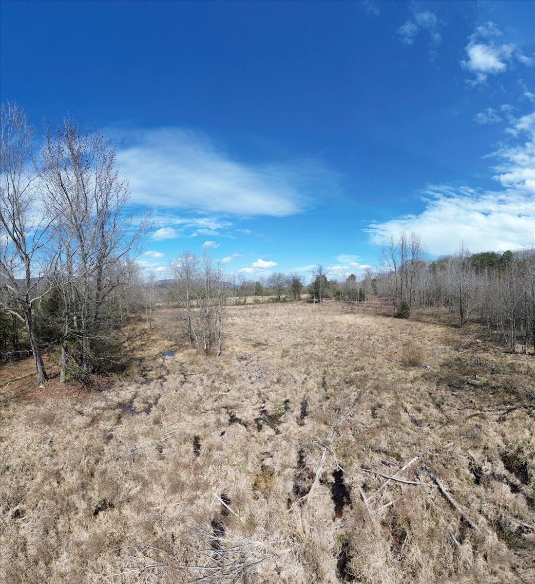 0 Francis Spring Road Jasper, TN 37347 - Photo 32 of 43 33-DJI_0009