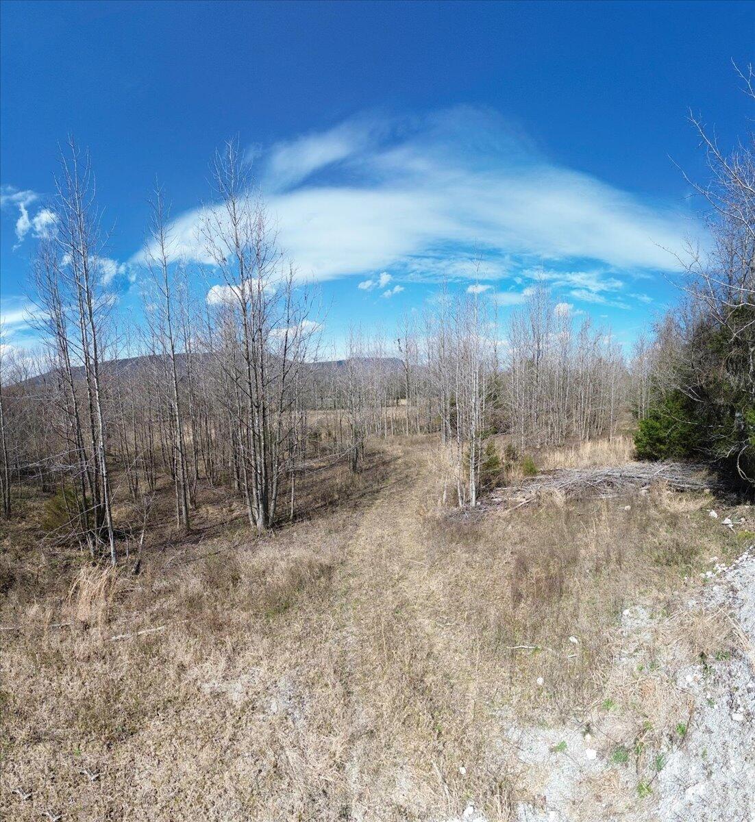 0 Francis Spring Road Jasper, TN 37347 - Photo 5 of 43 05-DJI_0001-Edit