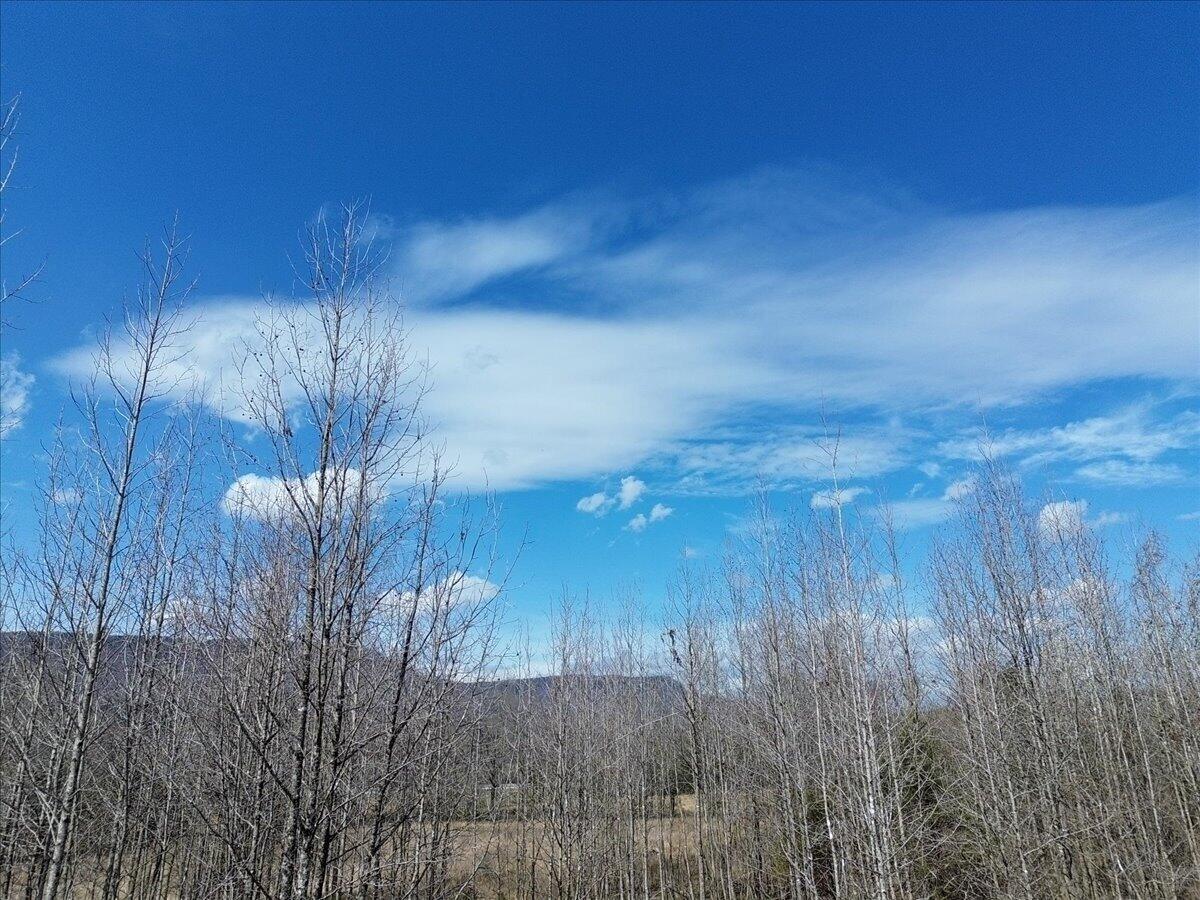 0 Francis Spring Road Jasper, TN 37347 - Photo 8 of 43 08-DJI_0002