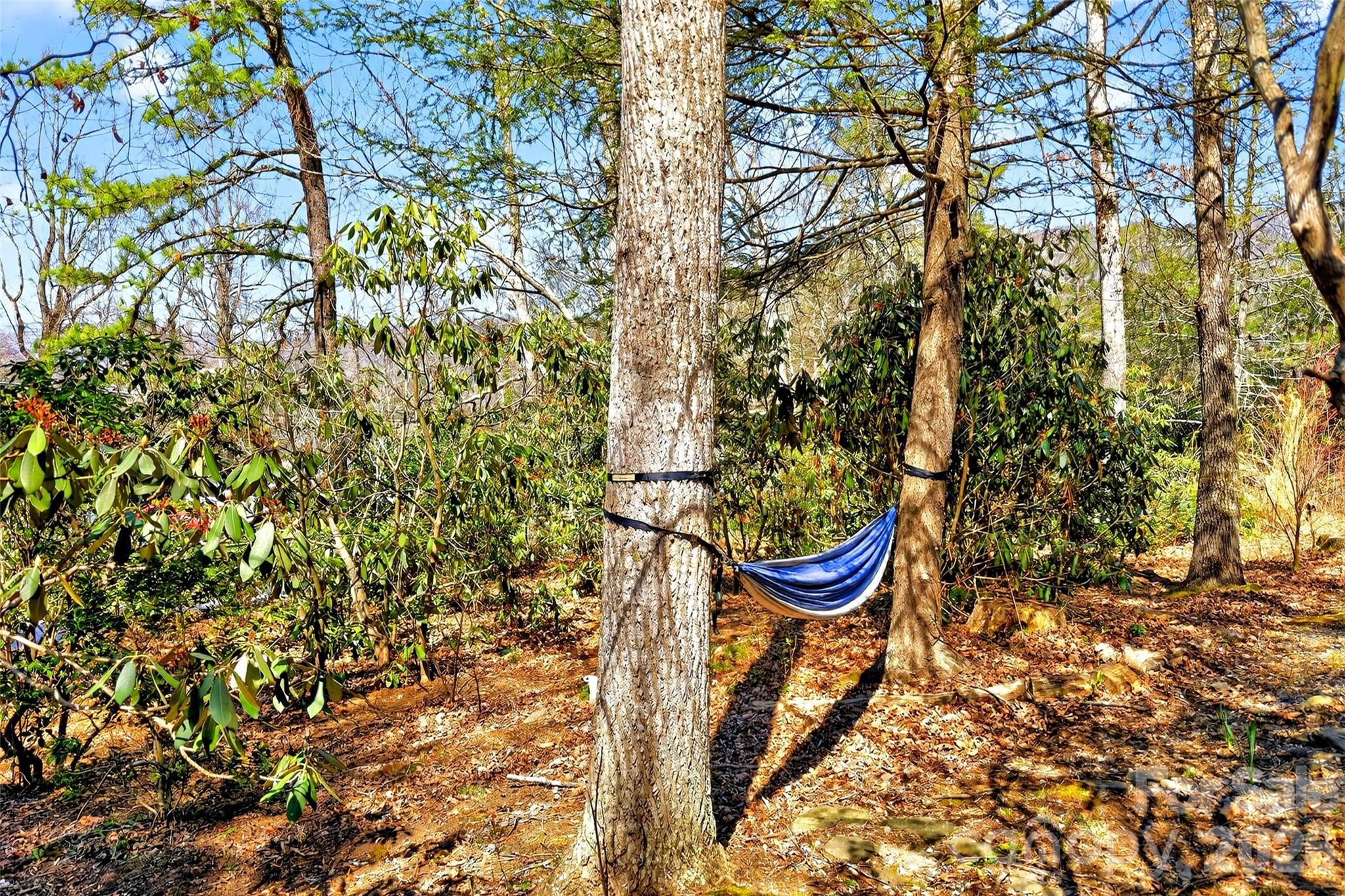 32 Tucker Road Black Mountain, NC 28711 - Photo 45 of 48