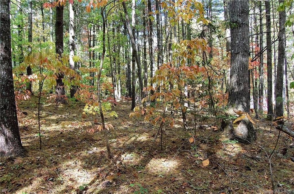 0 Ducketts Grove Road, Unit 6 Fletcher, NC 28732 - Photo 2 of 3 Gallery Image 2