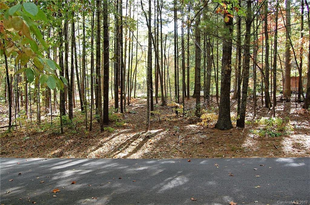 0 Ducketts Grove Road, Unit 6 Fletcher, NC 28732 - Photo 3 of 3 Gallery Image 3
