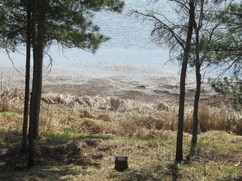 Lot 3 North Rice Lake Road Spooner, WI 54801 - Photo 12 of 12