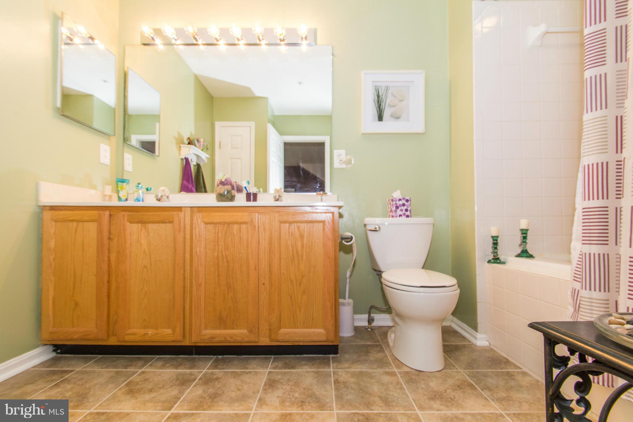 8712 Autumn Ridge Court Odenton, MD 21113 - Photo 15 of 29 Bath (Master)