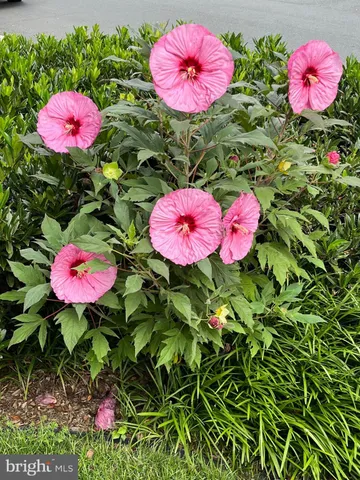 $950,000 | 412 Silver Spring Avenue, Silver Spring, MD 20910