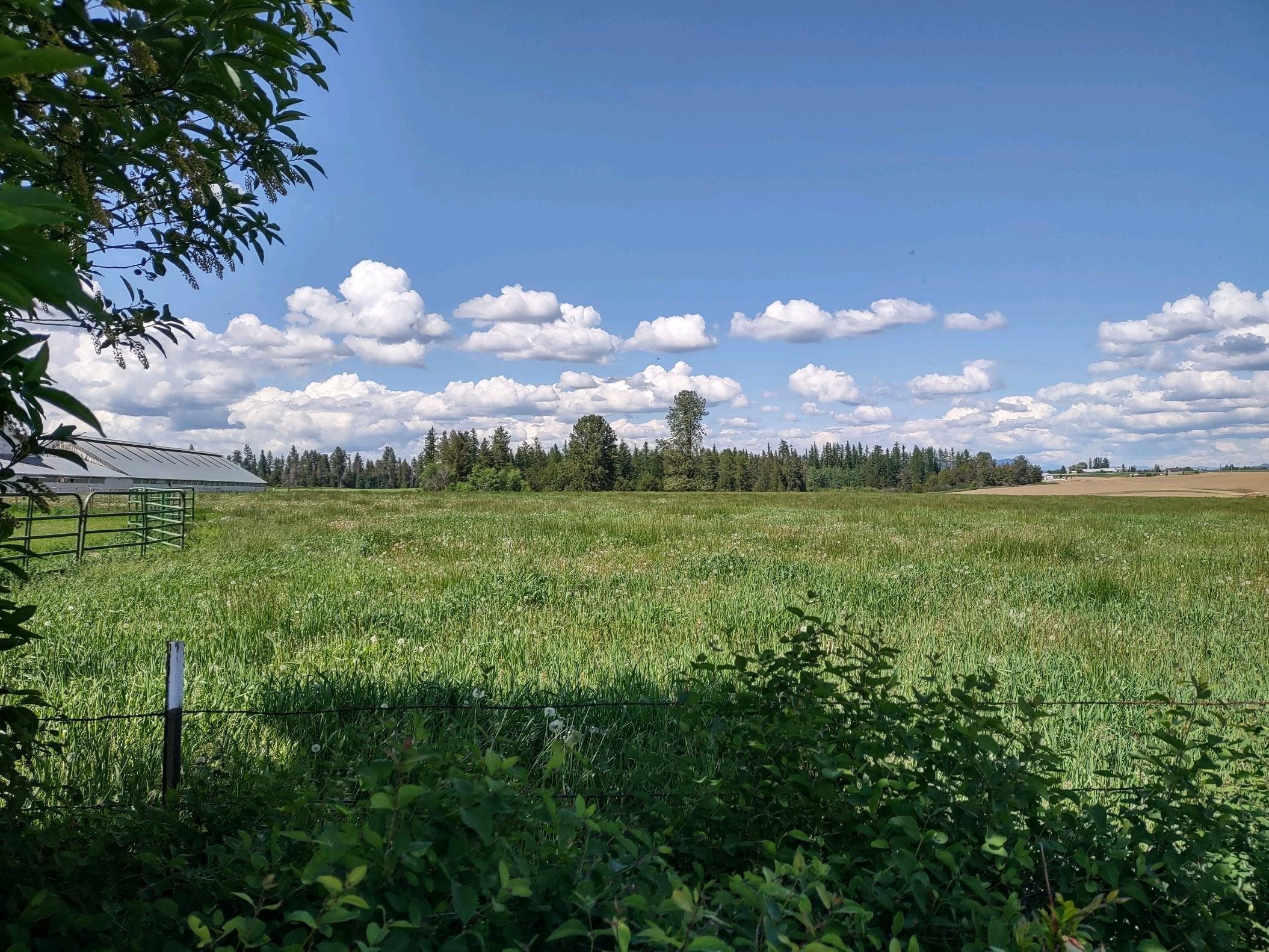 0 West Dahl Road Deer Park, WA 99006 - Photo 2 of 4