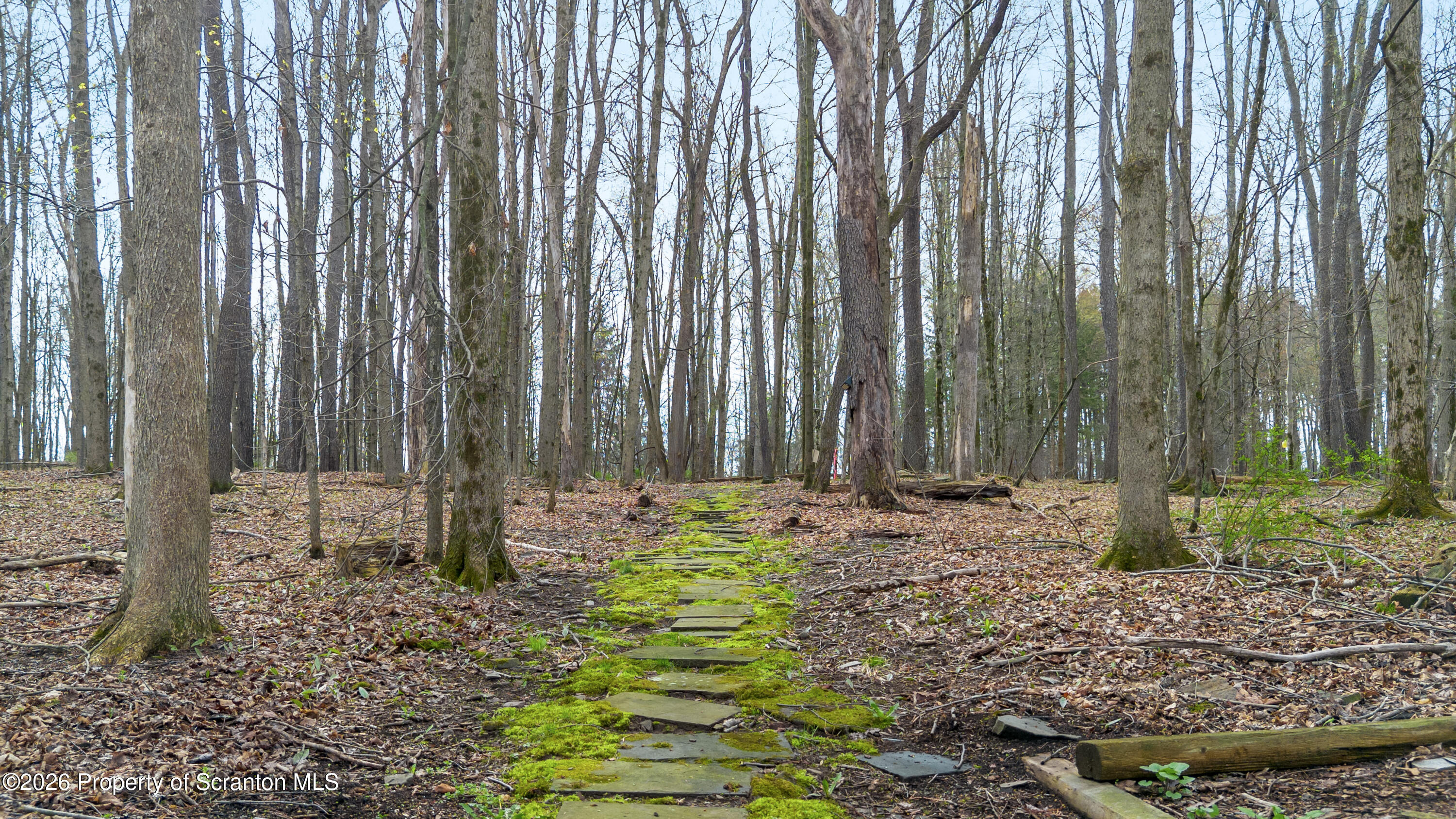 480 Gravel Pond Road Clarks Summit, PA 18411 - Photo 8 of 45 Outside