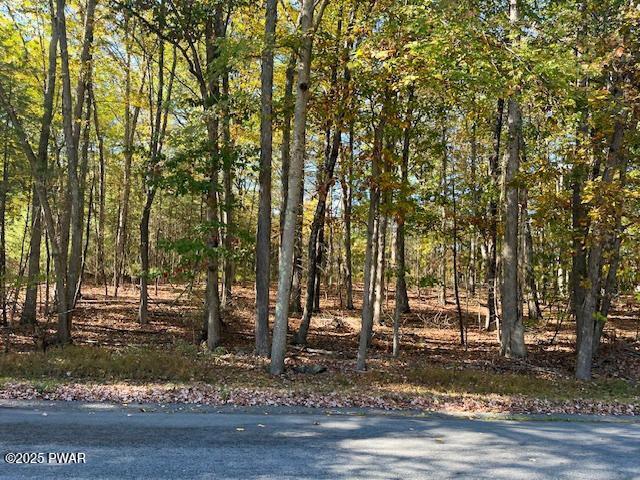 Lot 3 Aspen Road Dingmans Ferry, PA 18328 - Photo 1 of 10