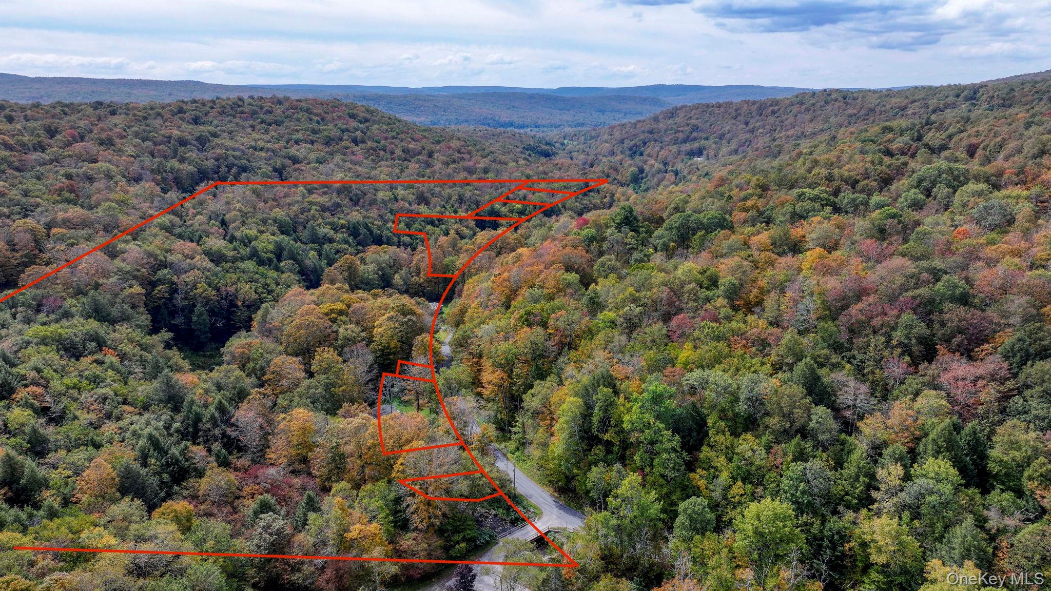 Grooville Road Livingston Manor, NY 12758 - Photo 1 of 15 a view of a city and mountains