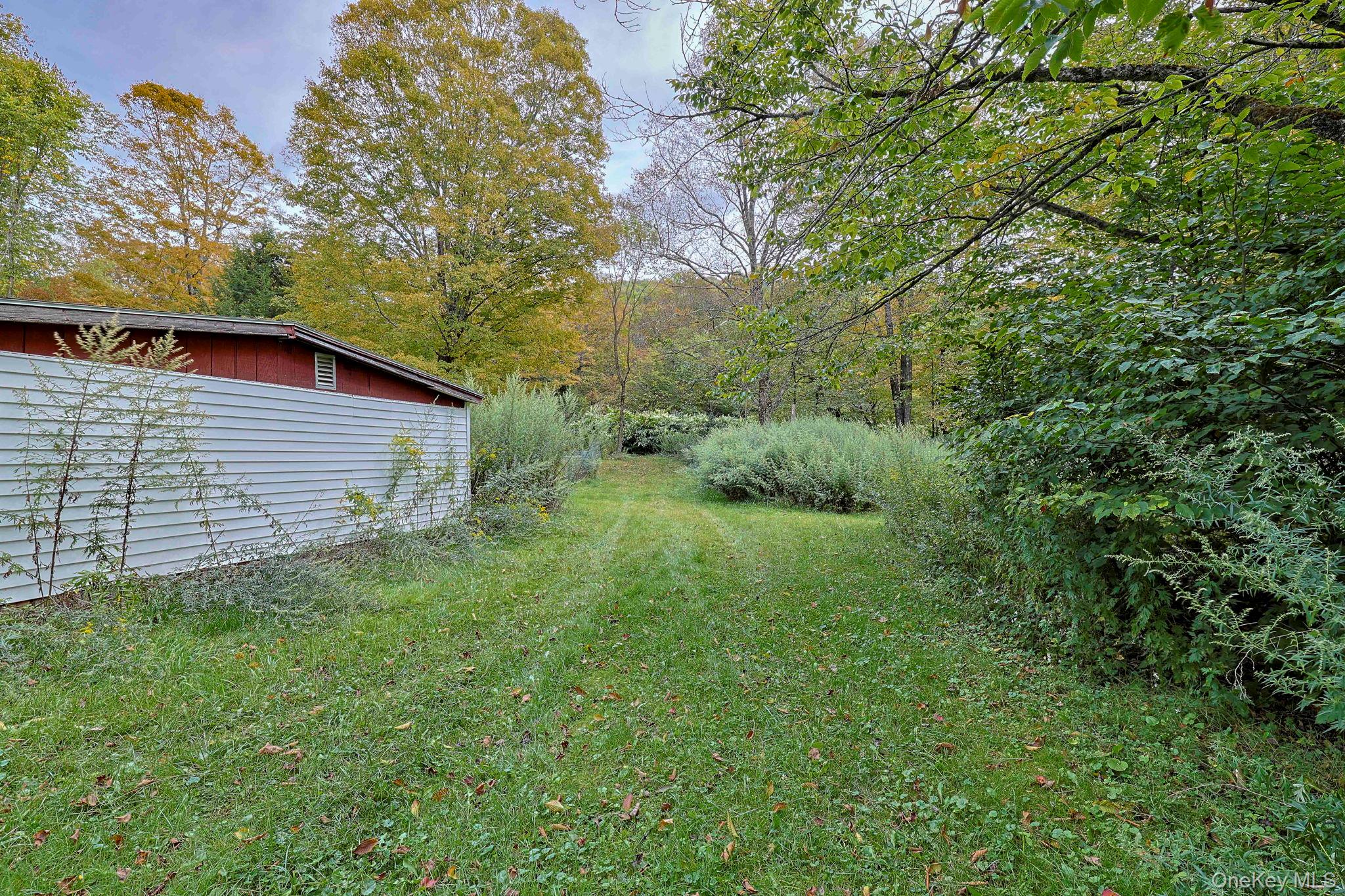 Grooville Road Livingston Manor, NY 12758 - Photo 11 of 15 a view of a backyard with large trees