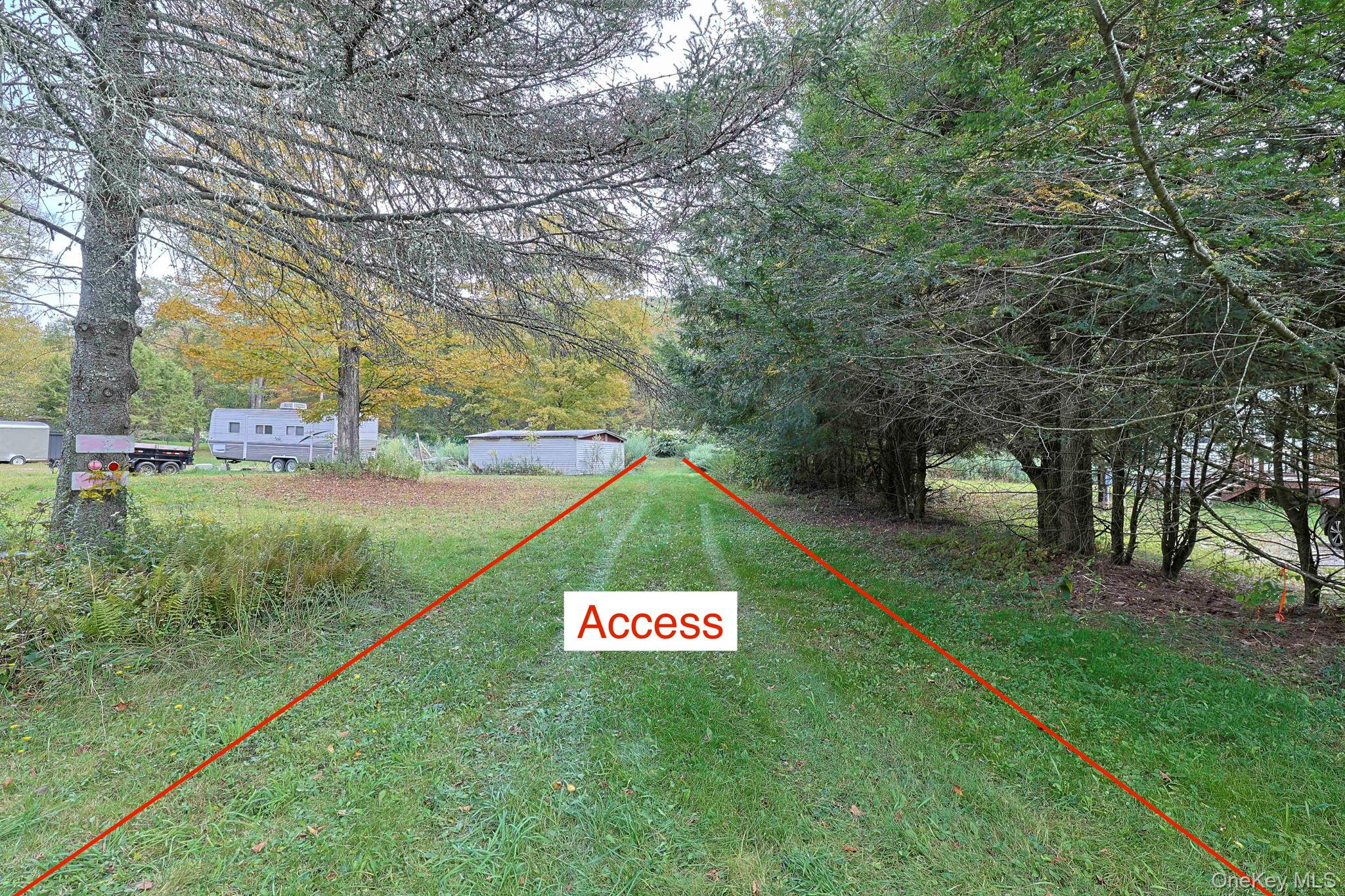 Grooville Road Livingston Manor, NY 12758 - Photo 13 of 15 a view of a park with large trees