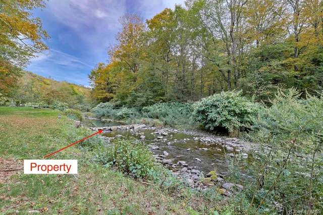 a view of a garden with an trees