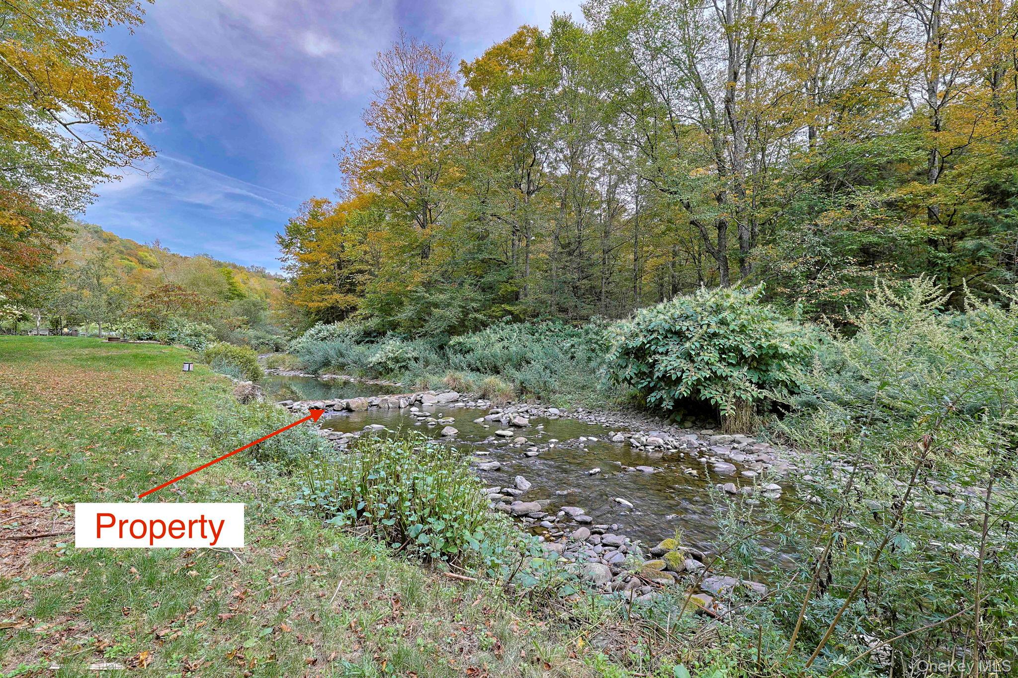 Grooville Road Livingston Manor, NY 12758 - Photo 14 of 15 a view of a garden with an trees