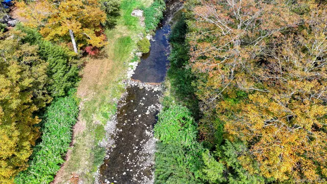 a view of a garden with plants