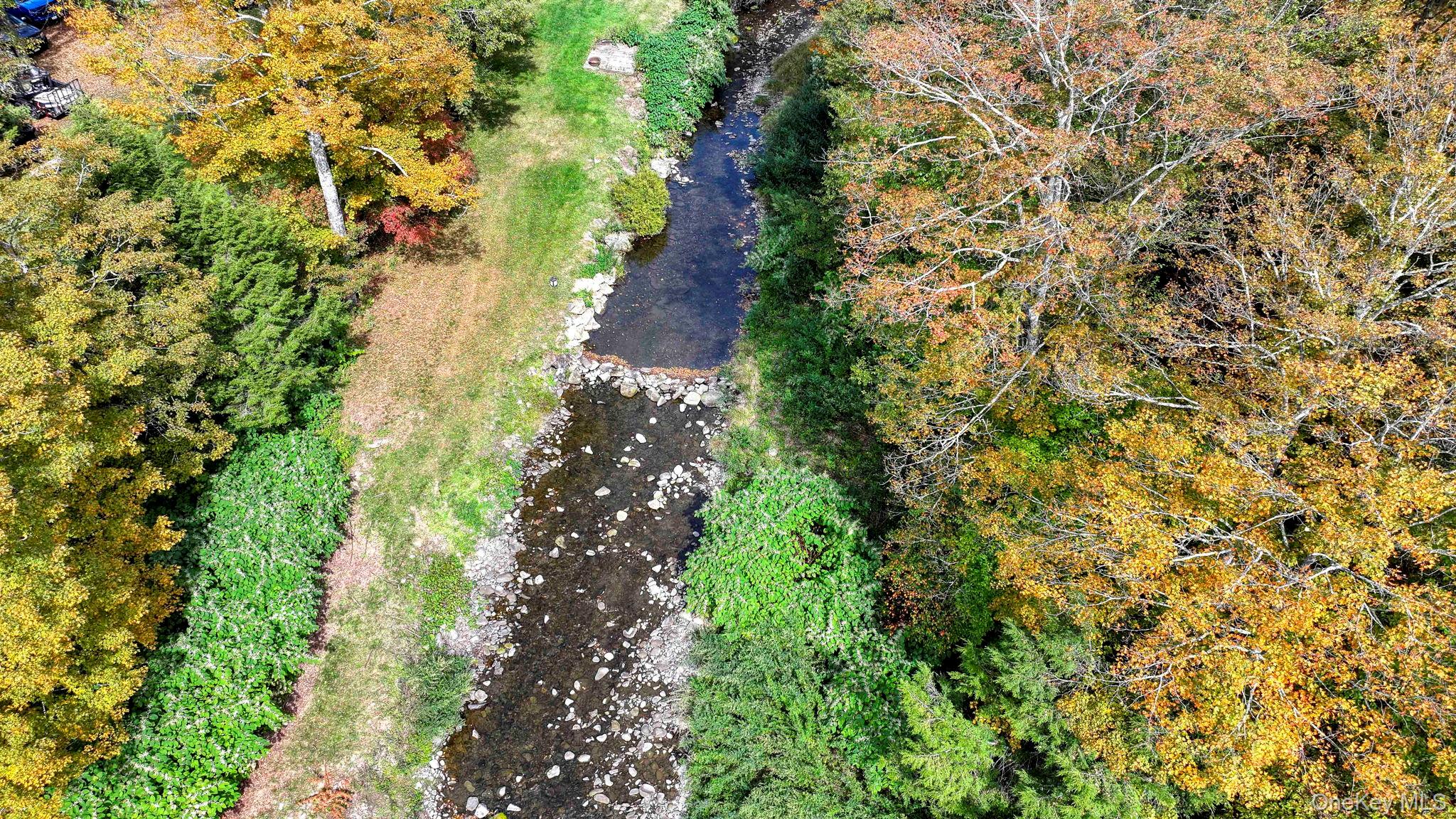 Grooville Road Livingston Manor, NY 12758 - Photo 2 of 15 a view of a garden with plants