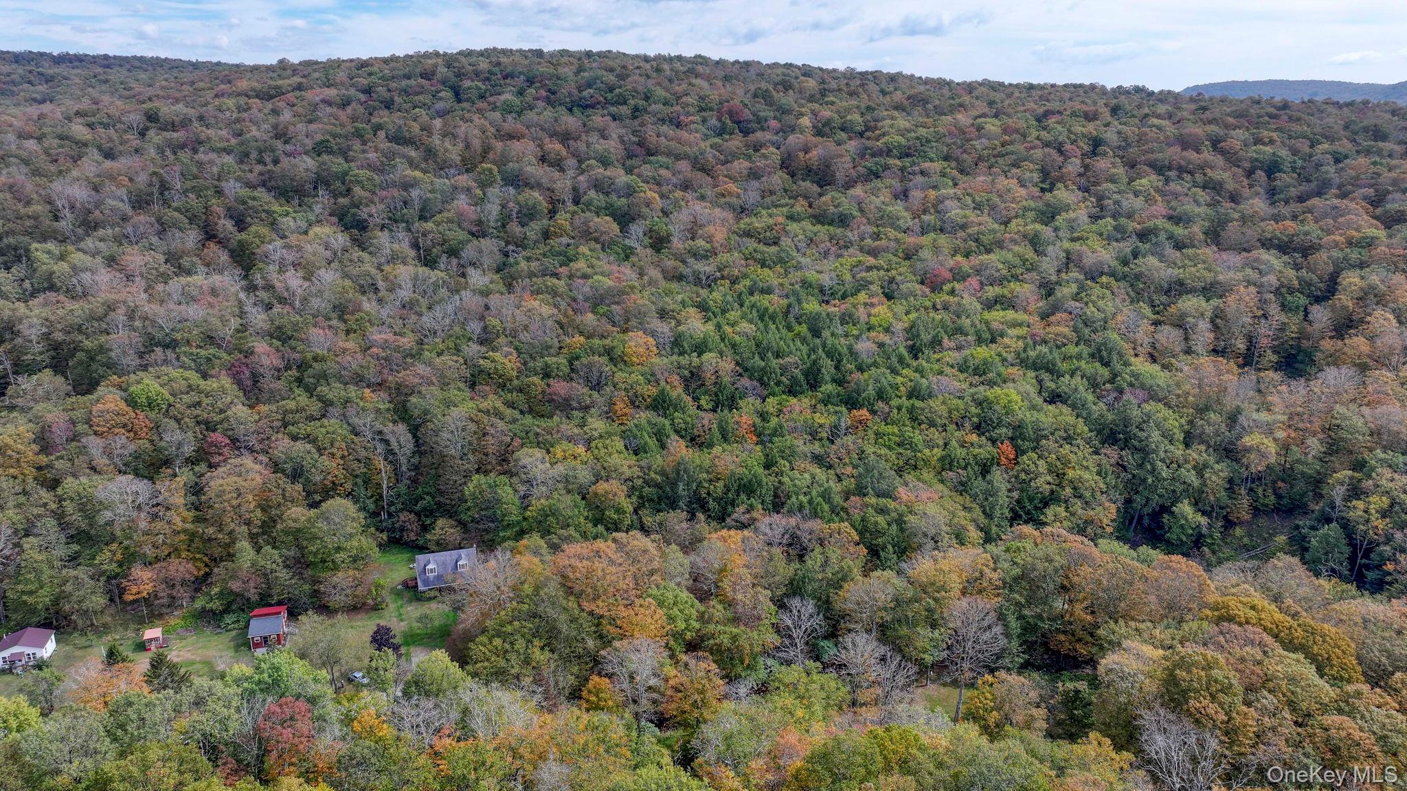 Grooville Road Livingston Manor, NY 12758 - Photo 3 of 15 a view of a covered with trees