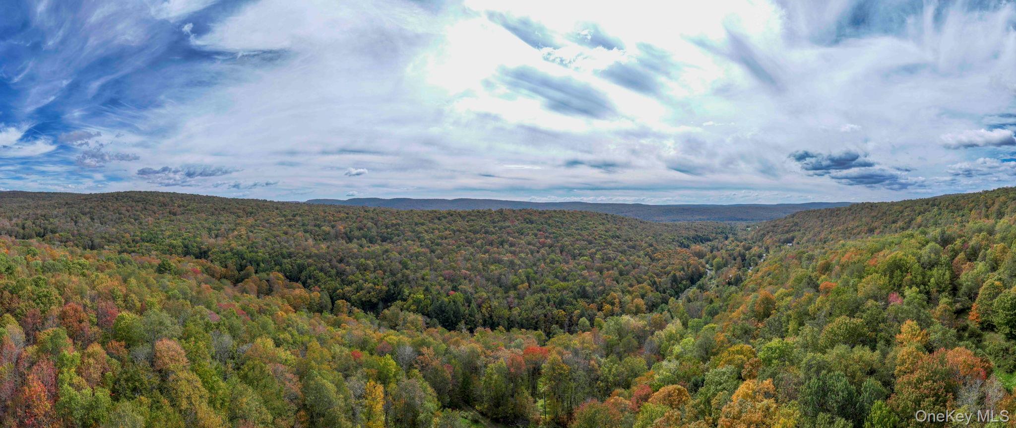 Grooville Road Livingston Manor, NY 12758 - Photo 4 of 15 a view of a yard in a field