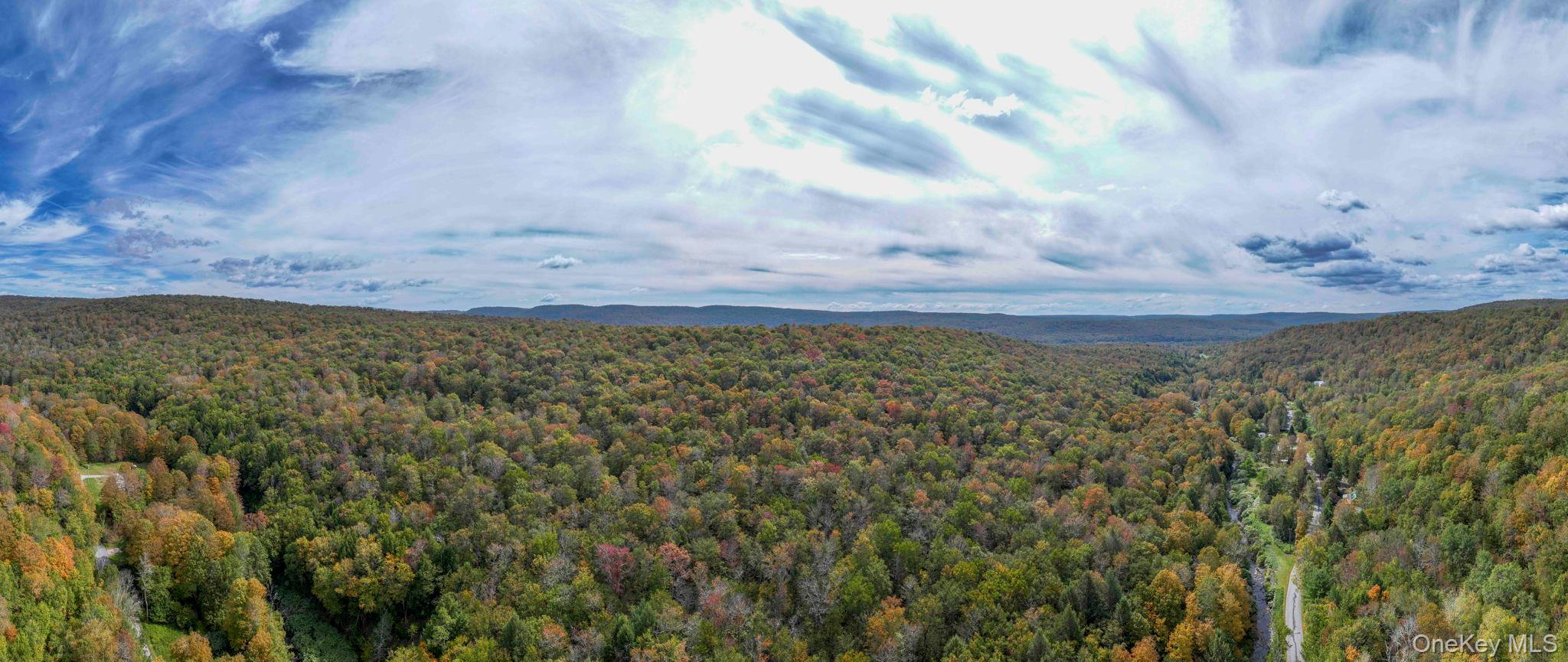 Grooville Road Livingston Manor, NY 12758 - Photo 5 of 15 a view of ocean