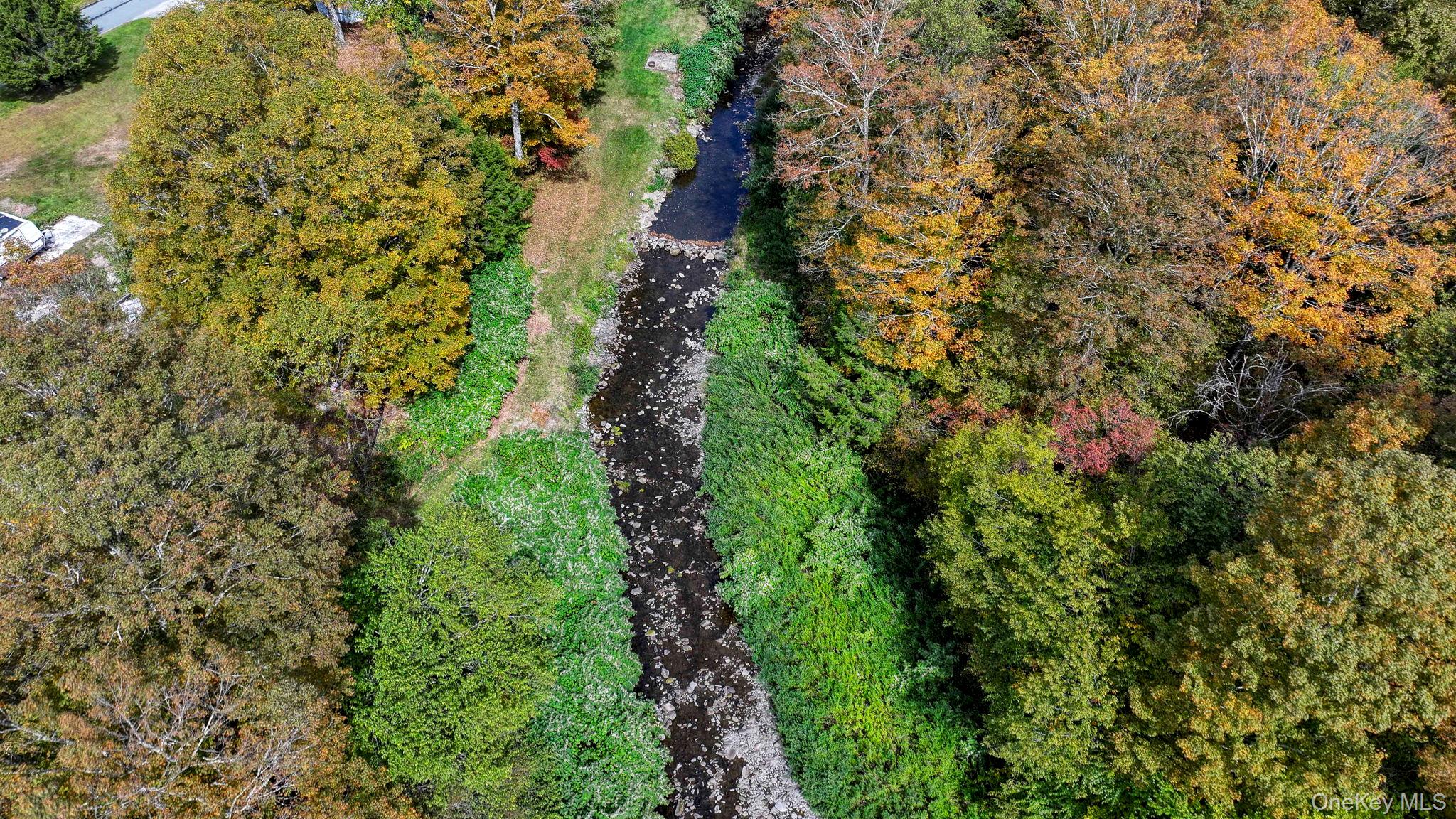 Grooville Road Livingston Manor, NY 12758 - Photo 6 of 15 a picture of trees