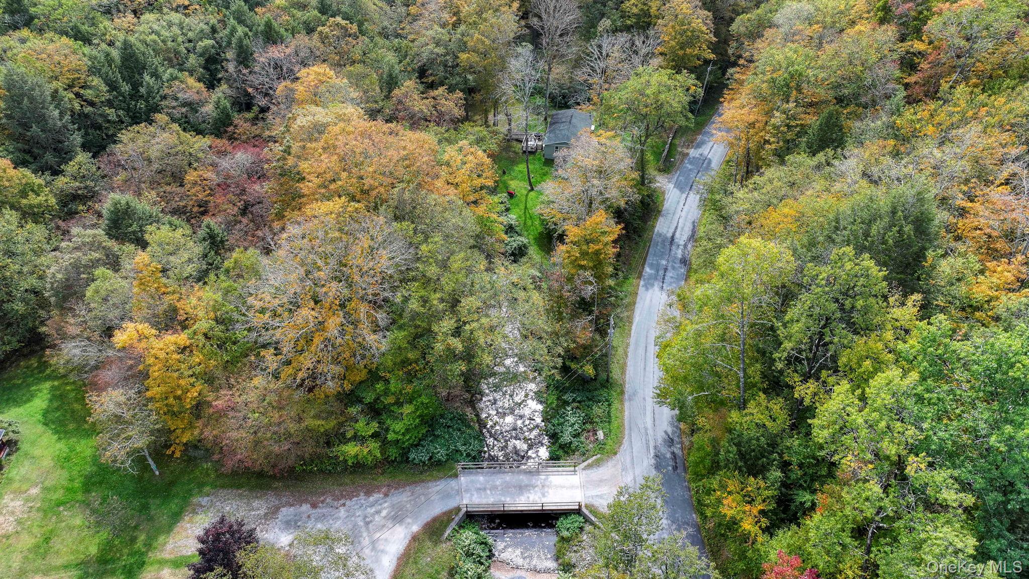 Grooville Road Livingston Manor, NY 12758 - Photo 7 of 15 a view of a yard with plants and trees