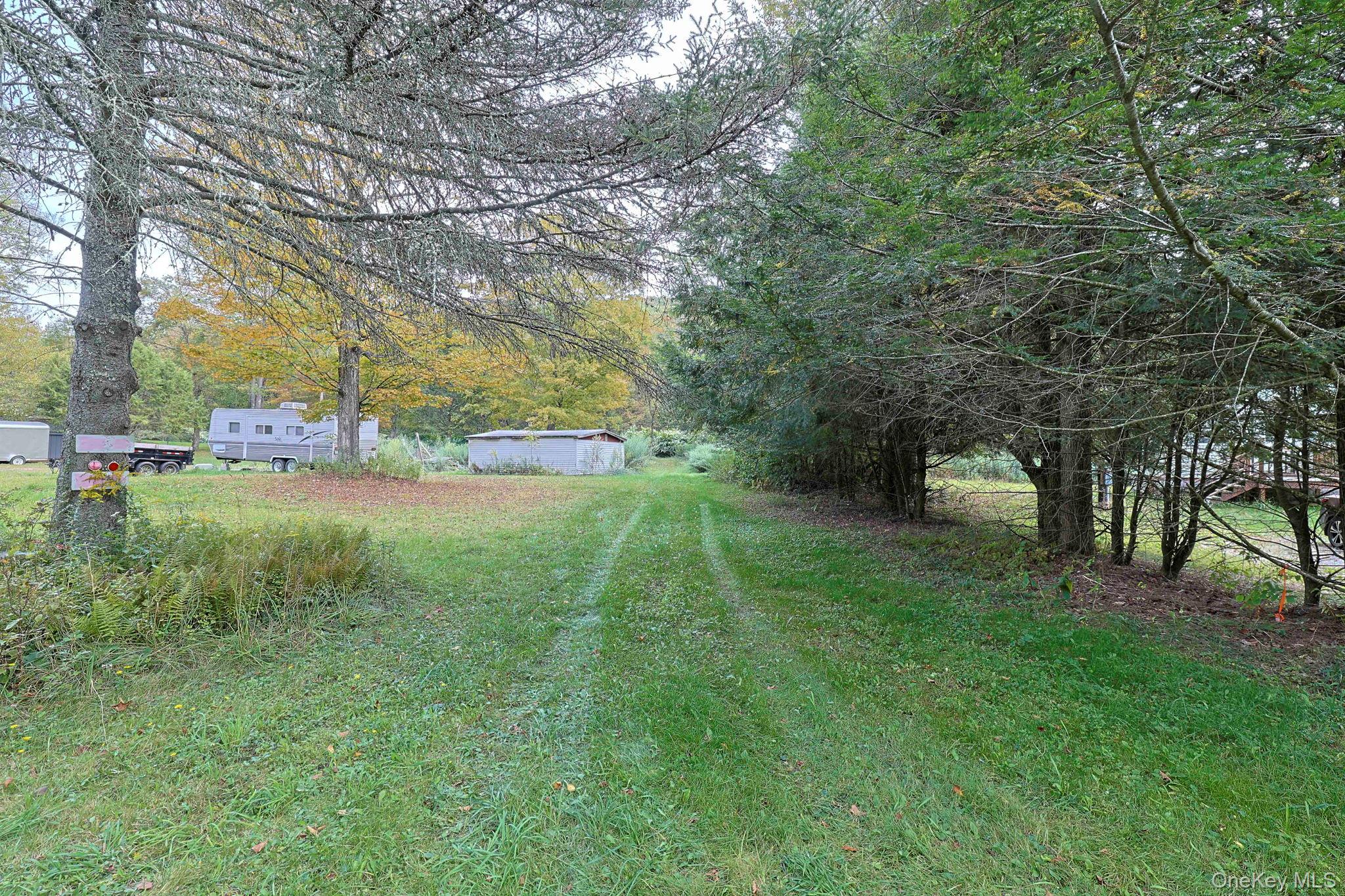 Grooville Road Livingston Manor, NY 12758 - Photo 8 of 15 a view of a park with large trees