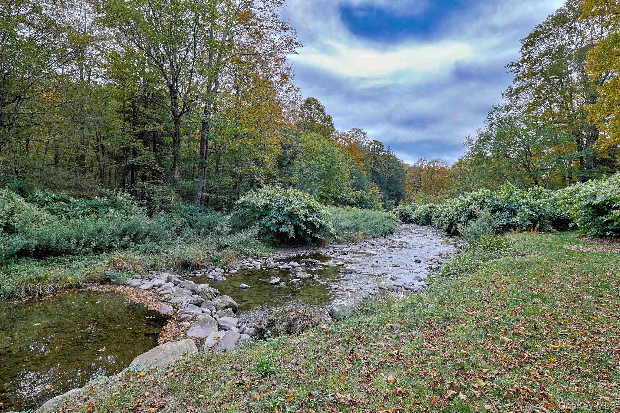 Grooville Road Livingston Manor, NY 12758 - Photo 10 of 15 a view of a yard with a tree