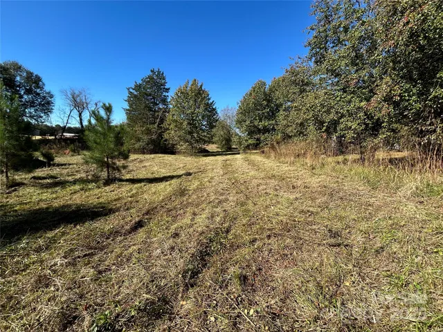 a view of dirt field with trees in the background