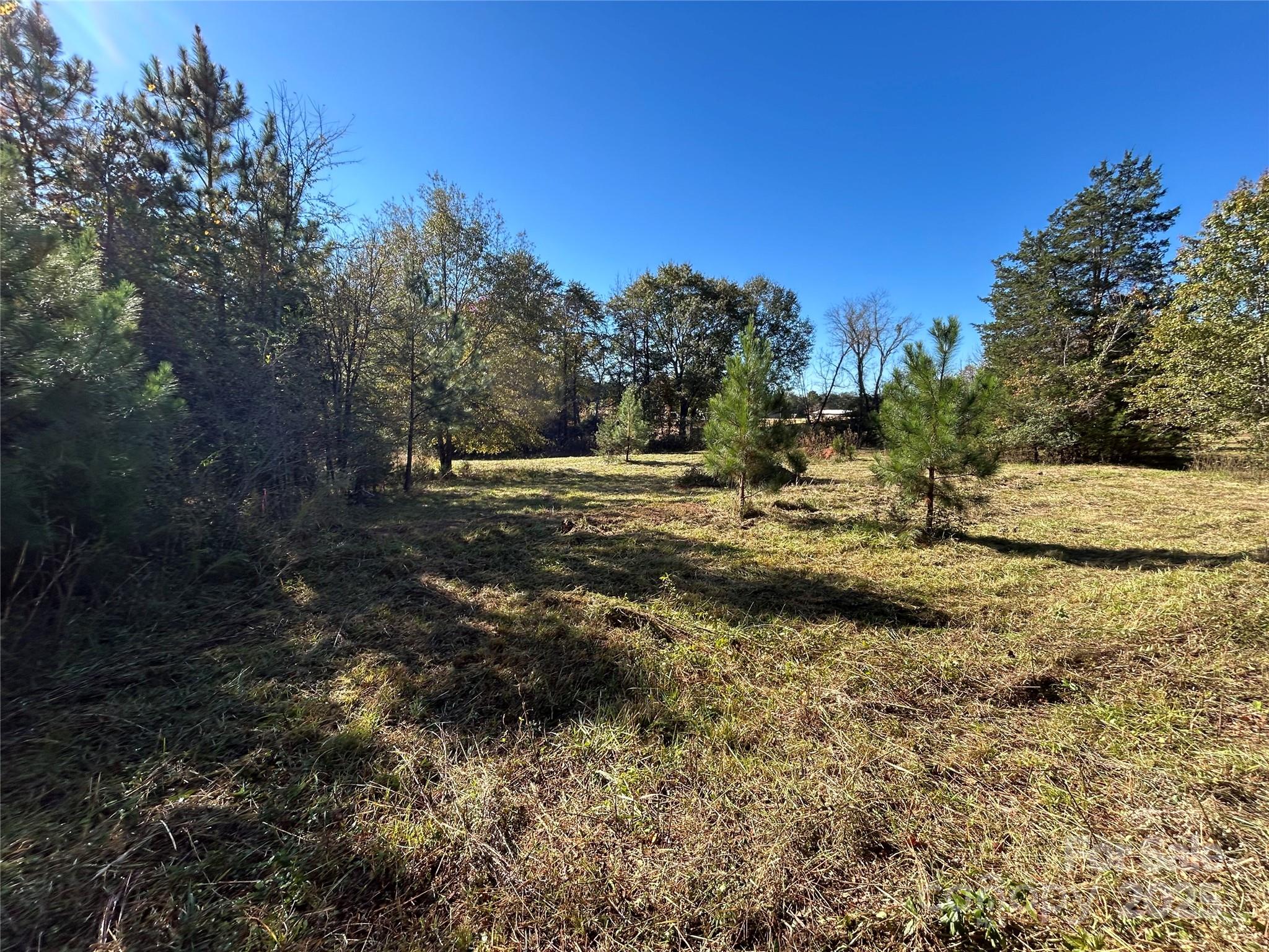 0 Grover Scruggs Road Mooresboro, NC 28114 - Photo 12 of 13 a view of dirt field with trees in the background