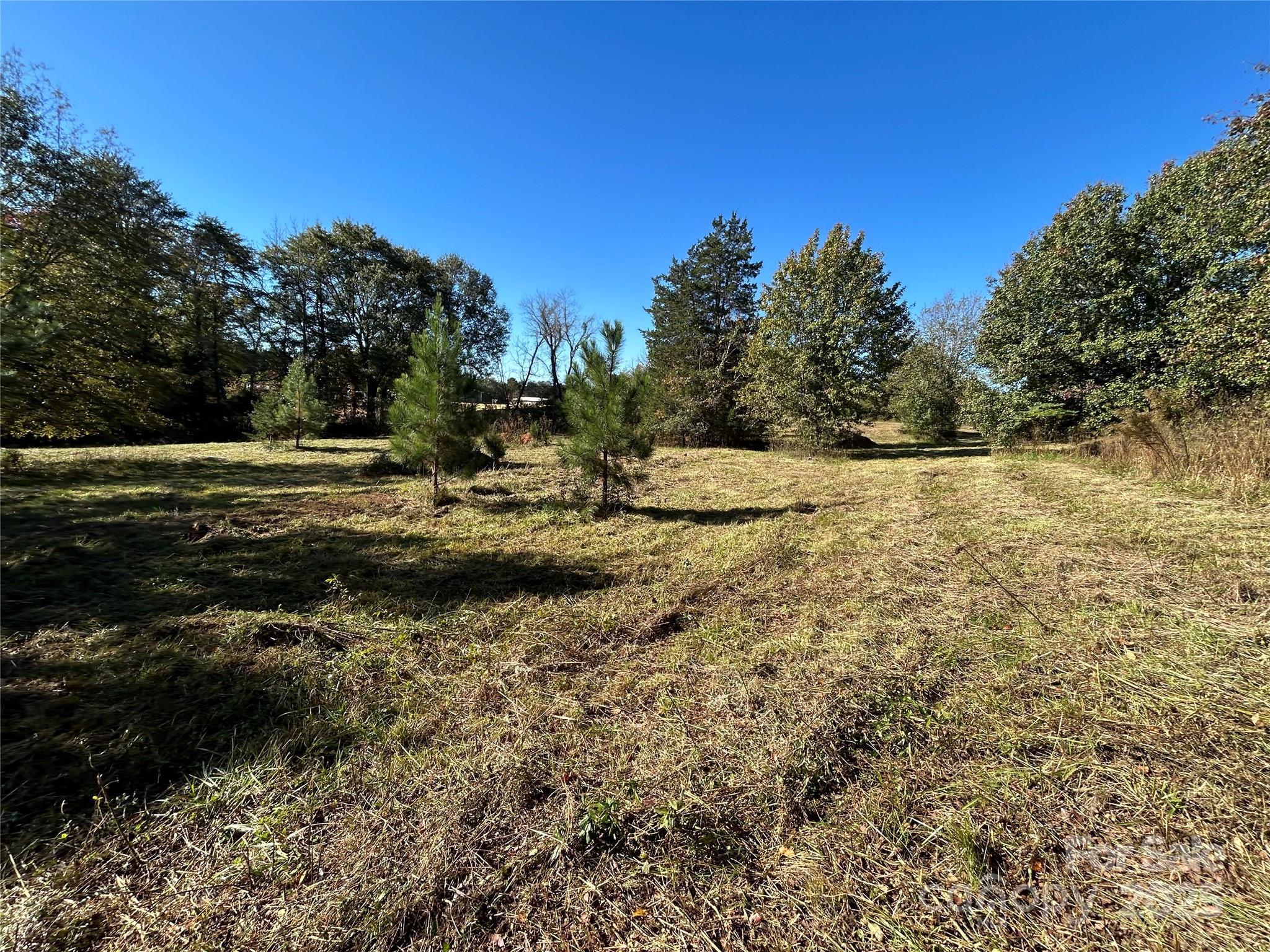 0 Grover Scruggs Road Mooresboro, NC 28114 - Photo 5 of 13 a view of dirt field with trees