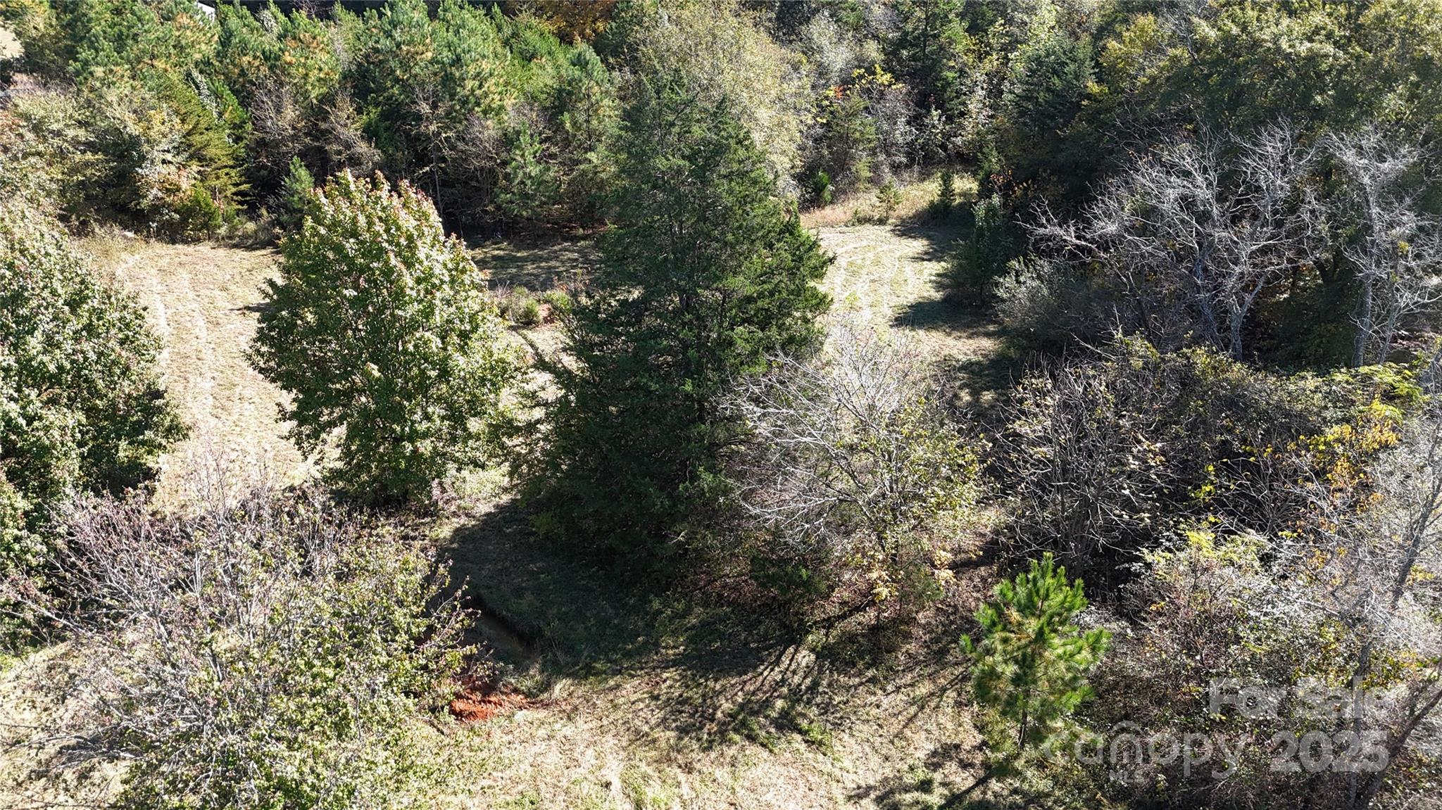 0 Grover Scruggs Road Mooresboro, NC 28114 - Photo 8 of 13 a view of a tree in a yard
