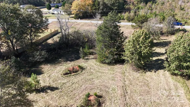 a view of a yard with a tree