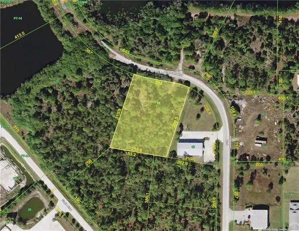 a picture of a tree with a yard