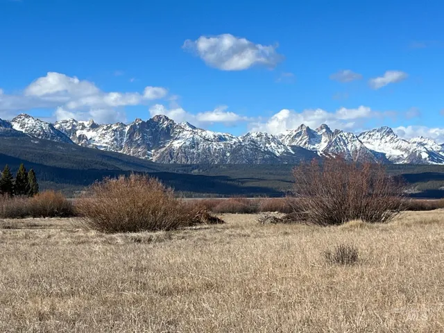 $750,000 | Tbd Fisher Creek Loop, Stanley, ID 83278