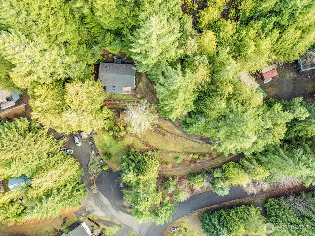 a aerial view of a house with a yard and large trees