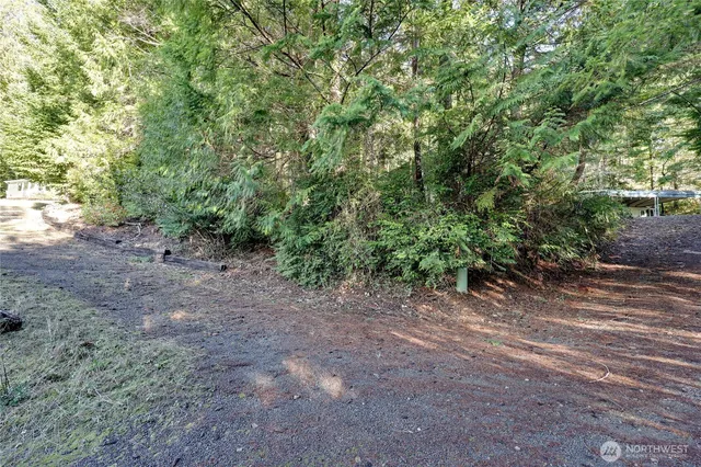 a view of a yard with a tree
