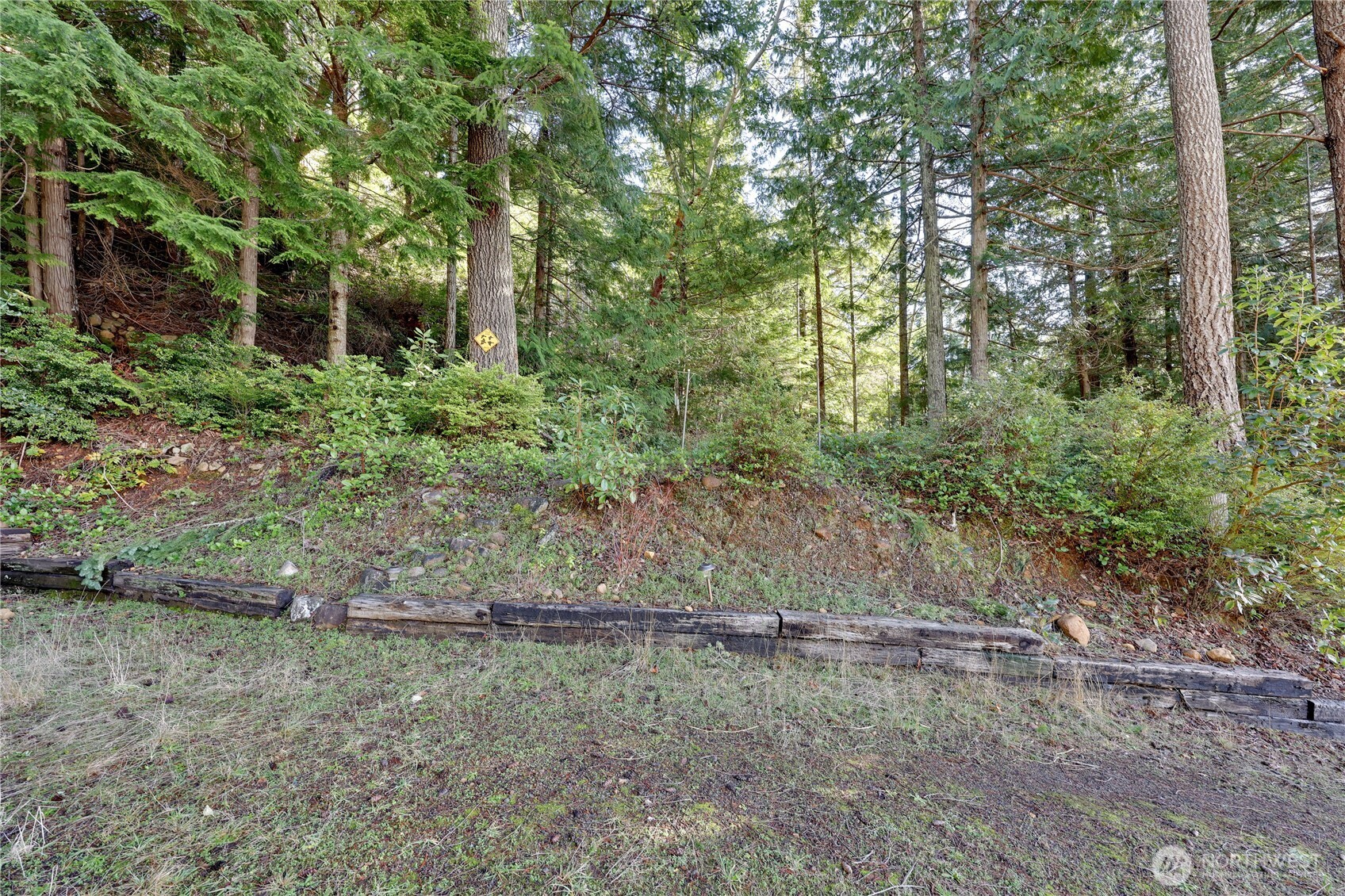 0 Cirque Drive Brinnon, WA 98320 - Photo 6 of 8 a backyard of a house with lots of green space