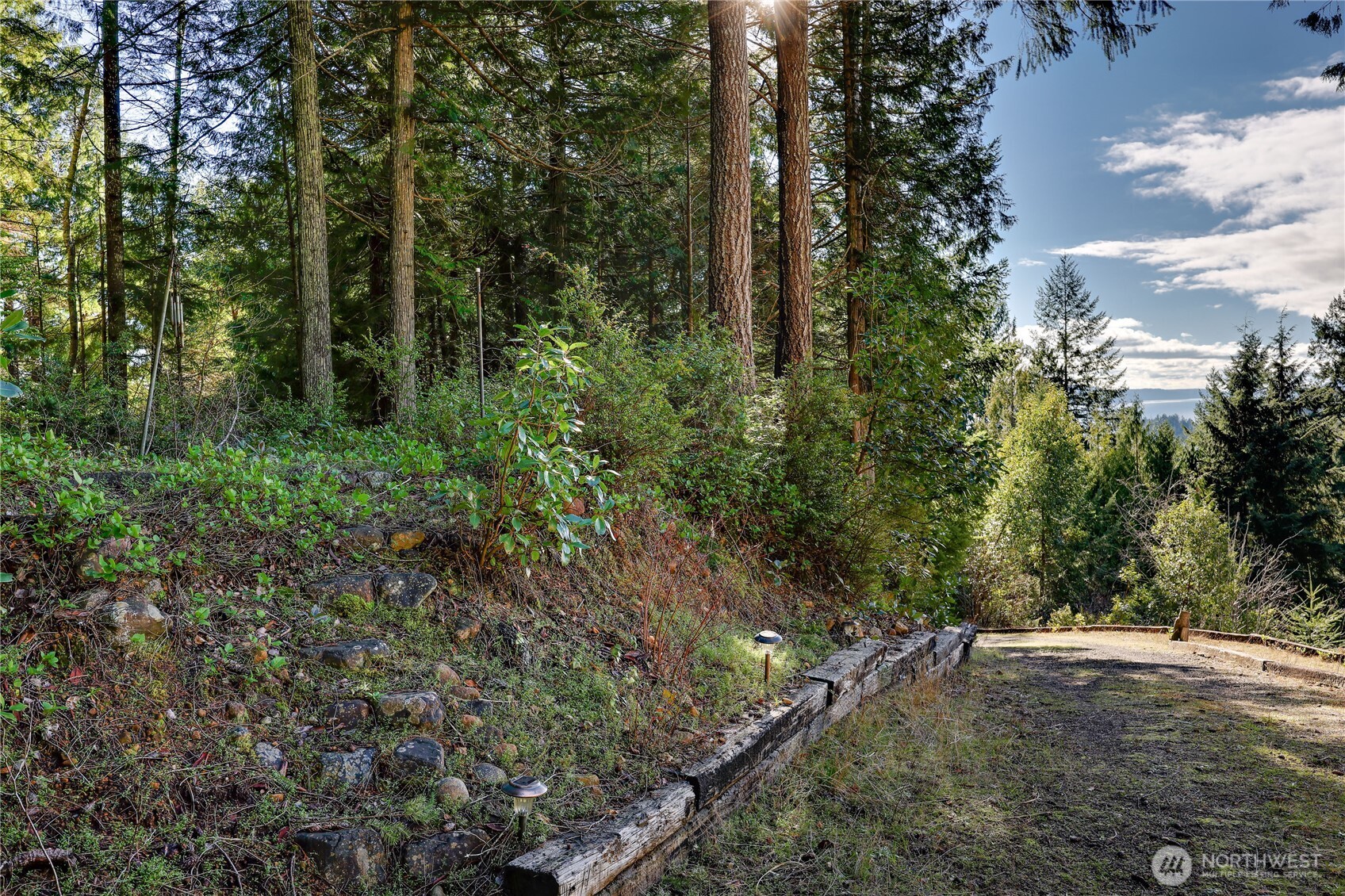 0 Cirque Drive Brinnon, WA 98320 - Photo 8 of 8 a view of a forest filled with trees