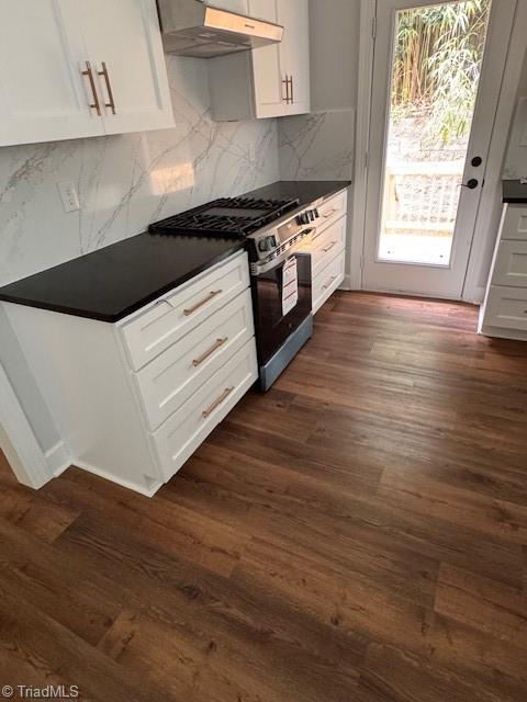 1247 Stadler Ridge Road Winston-Salem, NC 27106 - Photo 12 of 32 Kitchen with all new cabinets stone counters