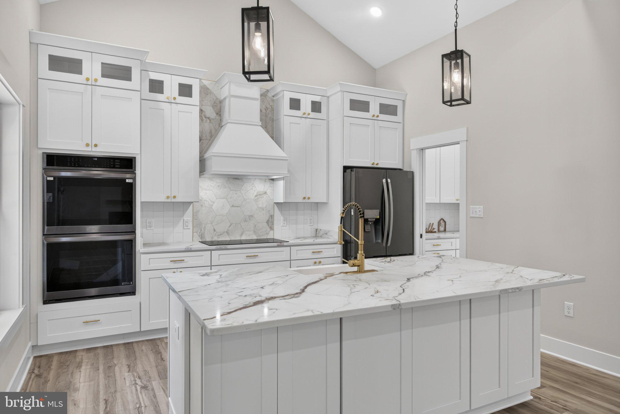 972 Days Bridge Road Mineral, VA 23117 - Photo 87 of 109 Sleek modern kitchen with elegant finishes.