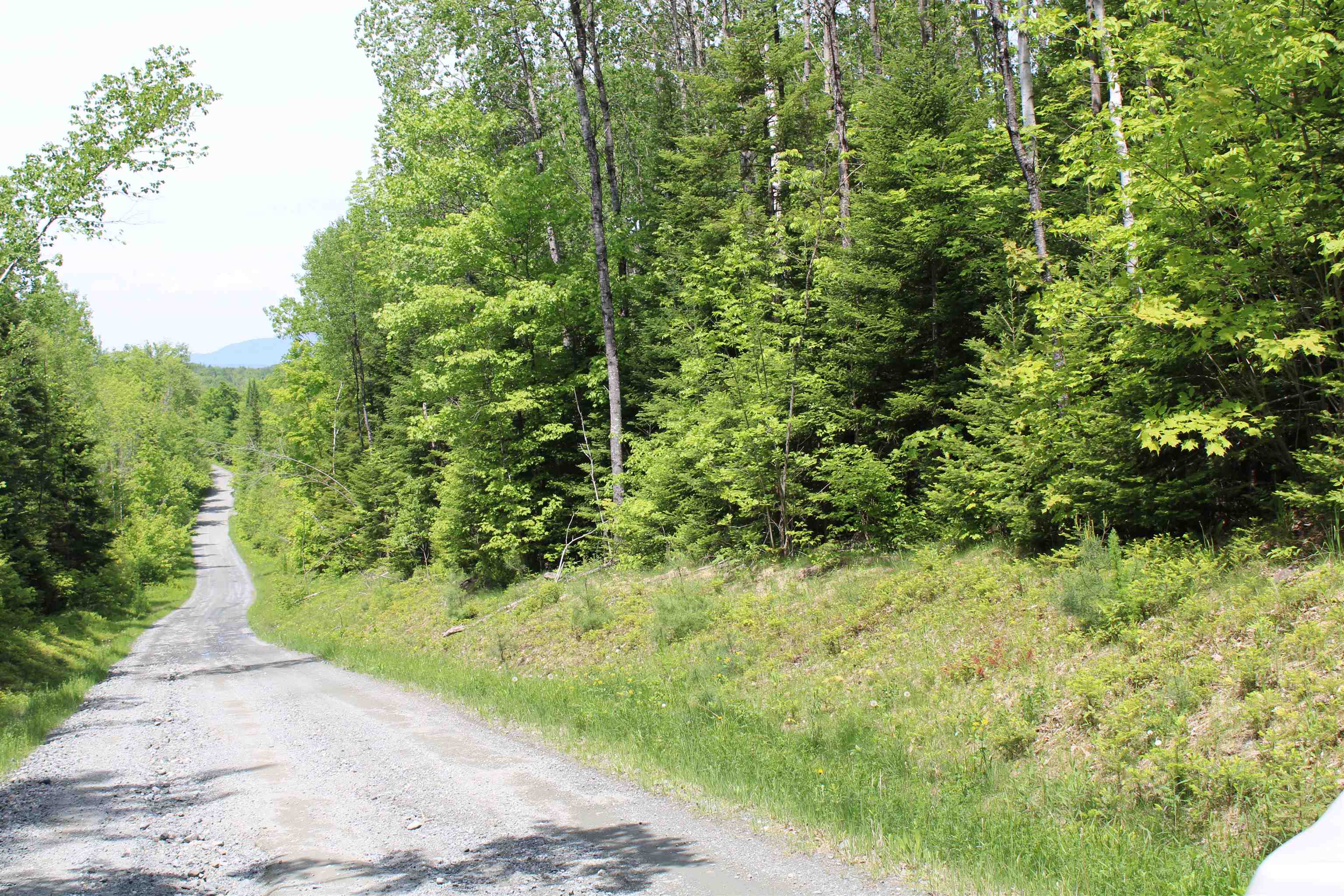 None Long Hill Road, Unit 1 Concord, VT 05824 - Photo 1 of 3