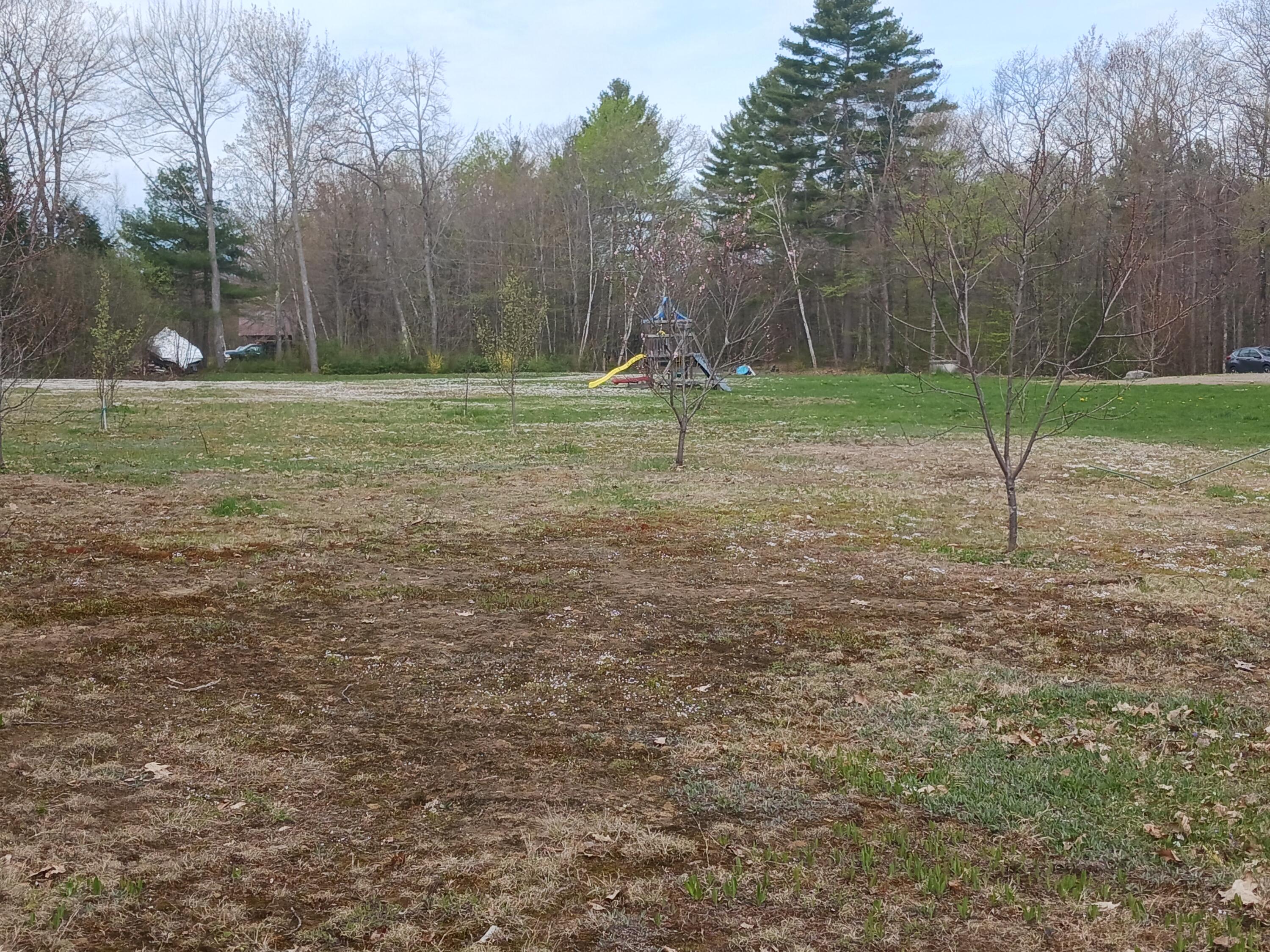 115 Intervale Road New Sharon, ME 04955 - Photo 5 of 50 fruit trees