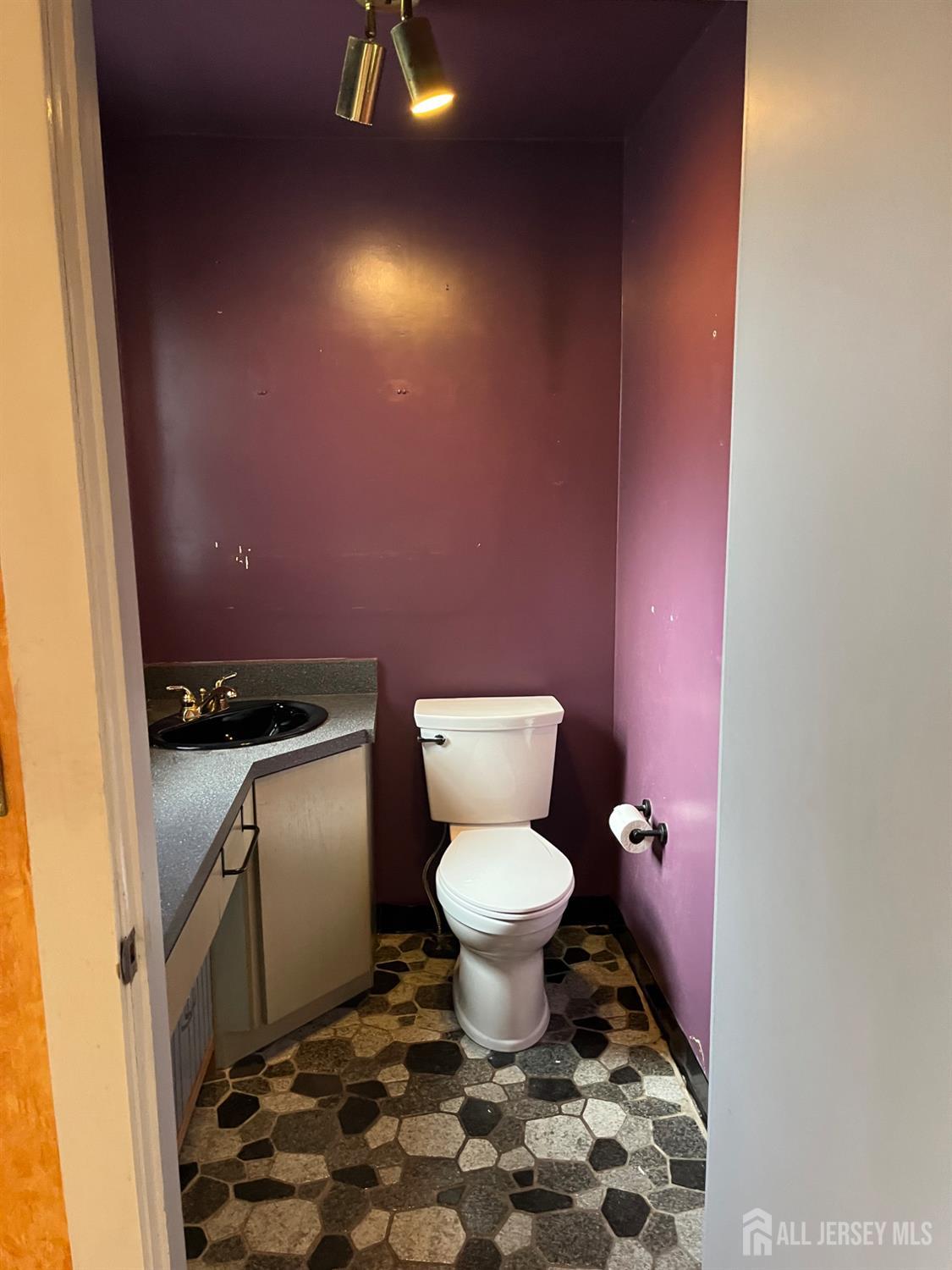 45 Old New Road Monmouth Junction, NJ 08852 - Photo 13 of 22 a bathroom with a toilet and a rug