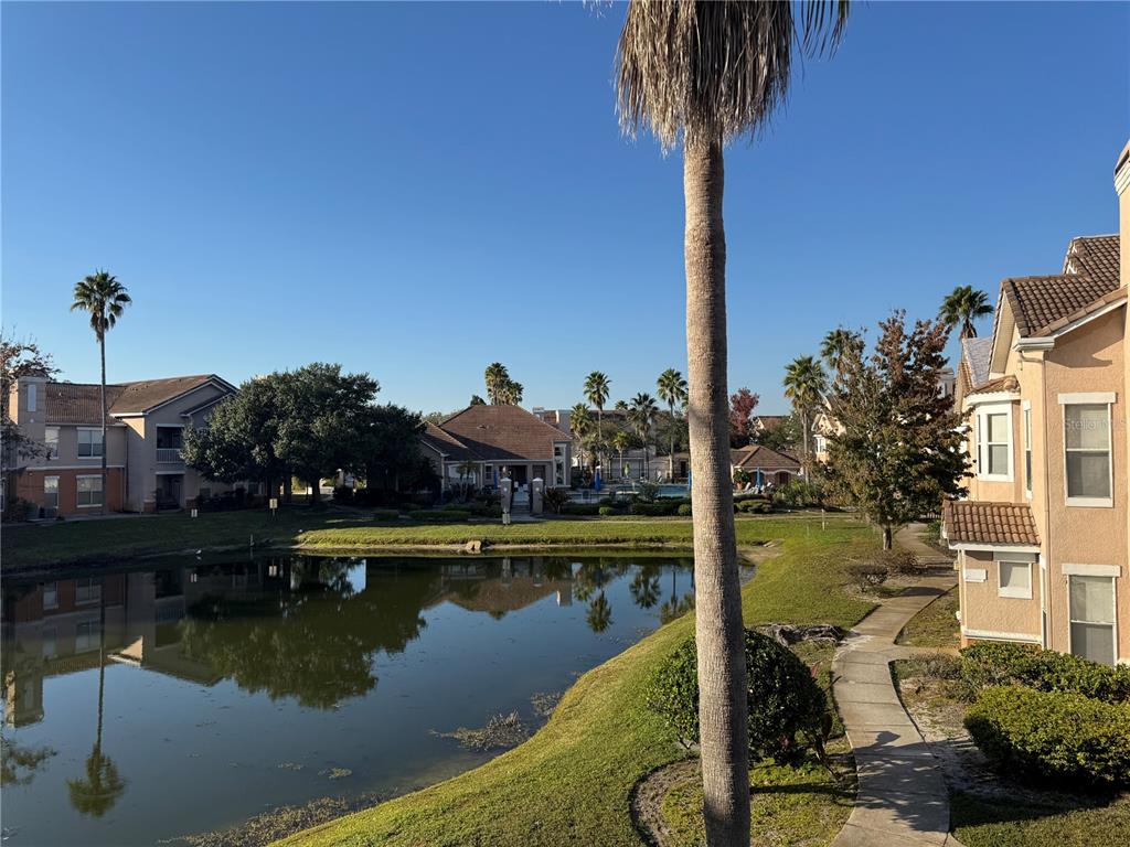 10444 Villa View Circle Tampa, FL 33647 - Photo 11 of 29 a view of a swimming pool with a table and chairs